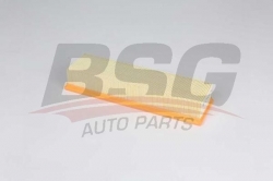 BSG 60135045 Hava Filtresi