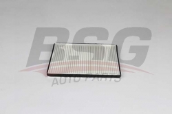 BSG 65145014 Polen Filtresi
