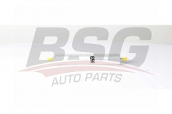 BSG 90130028 Yakıt Filtresi