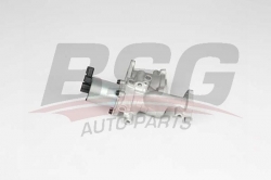 BSG 65836012 Egr Valfi