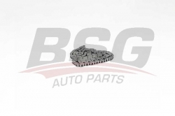 BSG 60105005 Eksantrik Zinciri