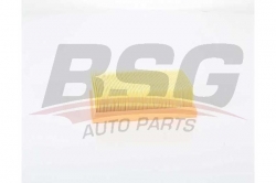 BSG 75135022 Hava Filtresi