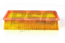 BSG 30135007 Hava Filtresi