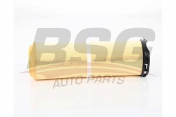 BSG 60135035 Hava Filtresi