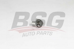 BSG 65126004 Termostat