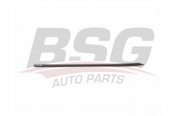 BSG 90924052 Kapı Bandı Arka Sağ