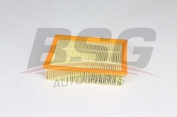 BSG 65135028 Hava Filtresi
