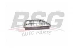 BSG 40135021 Hava Filtresi