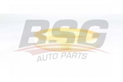 BSG 75135011 Hava Filtresi