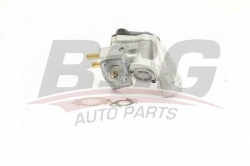 BSG 90836010 Egr Valfi