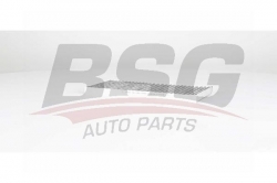 BSG 75145009 Polen Filtresi