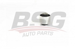 BSG 90700209 Dingil Burcu Arka
