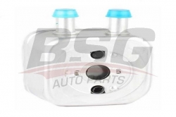 BSG 90506006 Yağ Soğutucusu