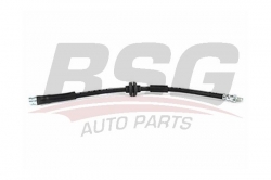 BSG 30730042 Fren Hortumu Arka