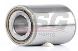 BSG 70600011 Porya Rulmanı Arka