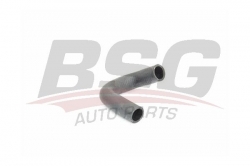 BSG 30720231 Egr Soğutucu Hortumu