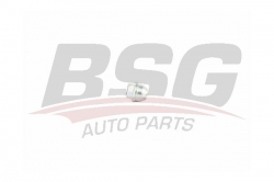 BSG 30230050 Bijon Somunu