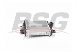BSG 15535015 Turbo Radyatörü