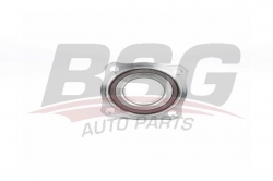 BSG 15605033 Porya  Arka