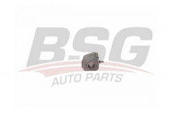 BSG 70700085 Viraj Demir Lastiği
