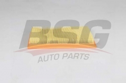 BSG 30135035 Hava Filtresi