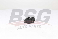 BSG 60125017 Termostat Kapağı