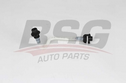 BSG 60725005 Yakıt Hortumu