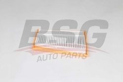 BSG 60135021 Hava Filtresi