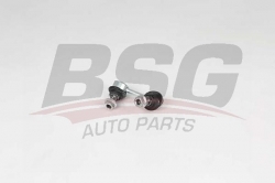 BSG 25310048 Viraj Askı Rotu Arka