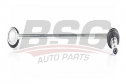 BSG 60310177 Viraj Askı Rotu Ön Sol