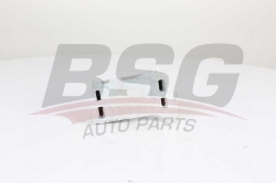 BSG 15506013 Yağ Radyatörü