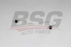 BSG 60725019 Yakıt Hortumu