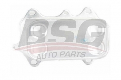 BSG 90506013 Yağ Soğutucusu