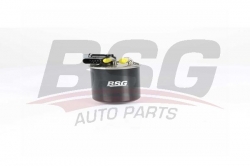 BSG 60130019 Yakıt Filtresi