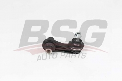 BSG 90310178 Viraj Askı Rotu Arka