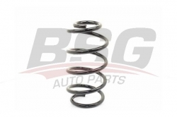 BSG 90305012 Helezon Yayı Ön