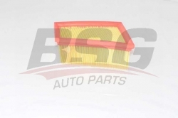 BSG 75135005 Hava Filtresi