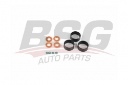 BSG 30116147 Enjektör Oring Takımı