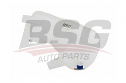 BSG 65550004 Radyatör Yedek Su Deposu