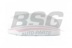 BSG 15915010 Ayna Kapağı Sağ