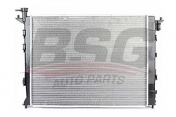 BSG 40520027 Su Radyatörü
