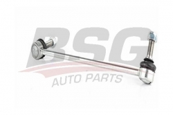 BSG 15310145 Viraj Askı Rotu Ön Sol