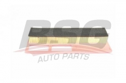 BSG 25135003 Hava Filtresi