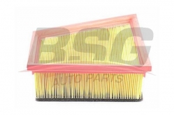 BSG 90135018 Hava Filtresi