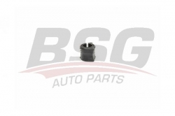 BSG 25700006 Viraj Askı Rotu Ön