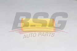 BSG 25135004 Hava Filtresi