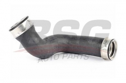 BSG 60720029 Turbo Hortumu