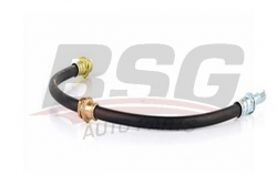 BSG 15730005 Fren Hortumu Arka
