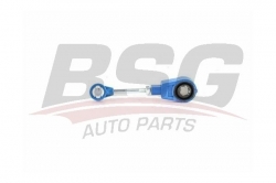 BSG 70465008 Vites Kumanda Çubugu