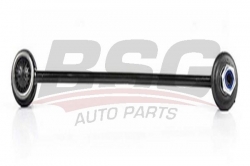 BSG 65310037 Viraj Askı Rotu Ön